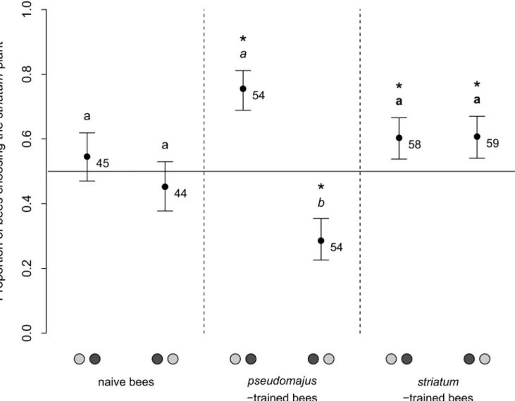 Fig 5. Proportion of bees choosing the striatum plant in the three groups of bees, and for the two plant positions in the Y-maze