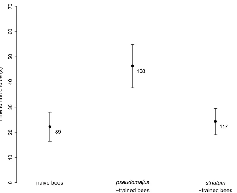 Fig 6. Time to first choice in the Y-maze experiment. Mean ± SE, for naive bees, bees trained on pseudomajus plants, and bees trained on striatum plants