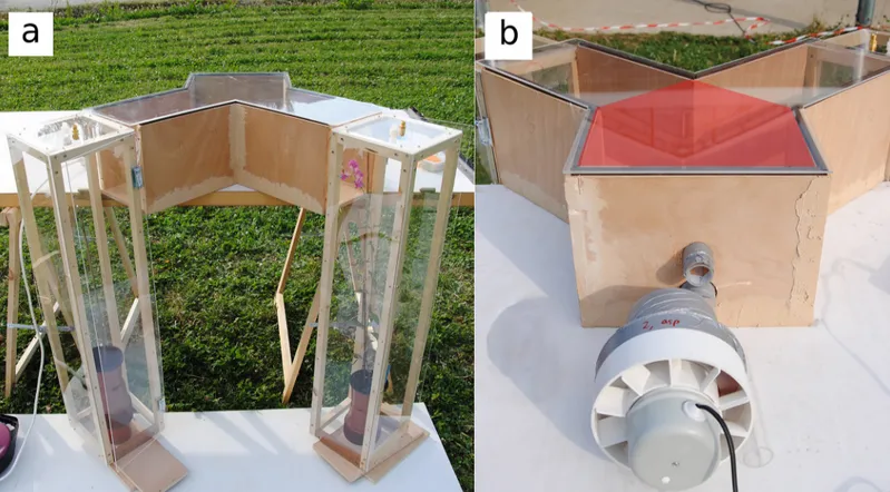 Fig 1. Y-maze apparatus used for bumblebee behavioral tests. (a) Position of plexiglas plant chambers facing the arm ends