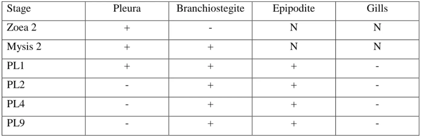 Table 1. List of primers used in this study 764 