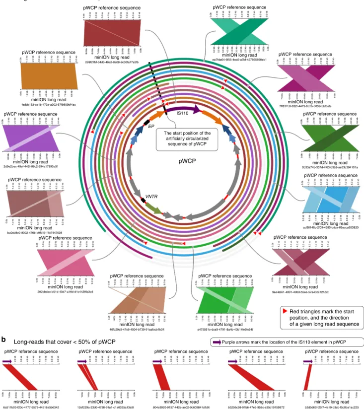 Fig. 2 Alignment of MinION long reads to pWCP. a The alignment of long reads that cover >50% of the pWCP genome (only 12 of 13 total long reads are shown; we omitted 1 from this display solely due to space considerations)
