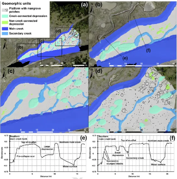 Fig. 6. Mudflat geomorphology: (a) area of interest with the five geomorphic classes: platform in light grey with individual mangrove trees or patches of mangroves, connected pools in cyan, unconnected pools in light green, secondary creeks in light blue a