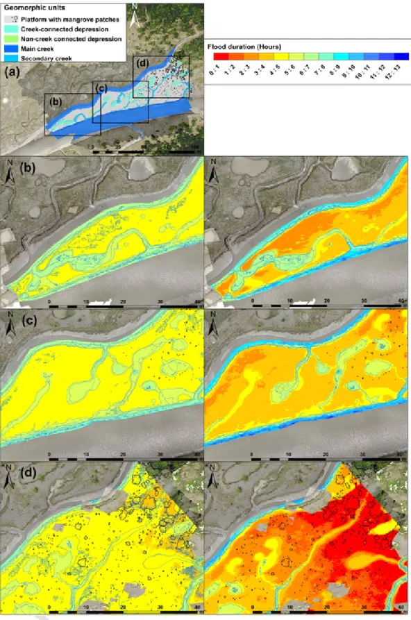 Fig. 7. Flood duration over the mudflat during spring and neap tides: (a) overview of mudflat geomorphology; parts of the mudflat (b–d) where flooding durations in hours for mean spring (left panels) and neap tides (right panels) were mapped.