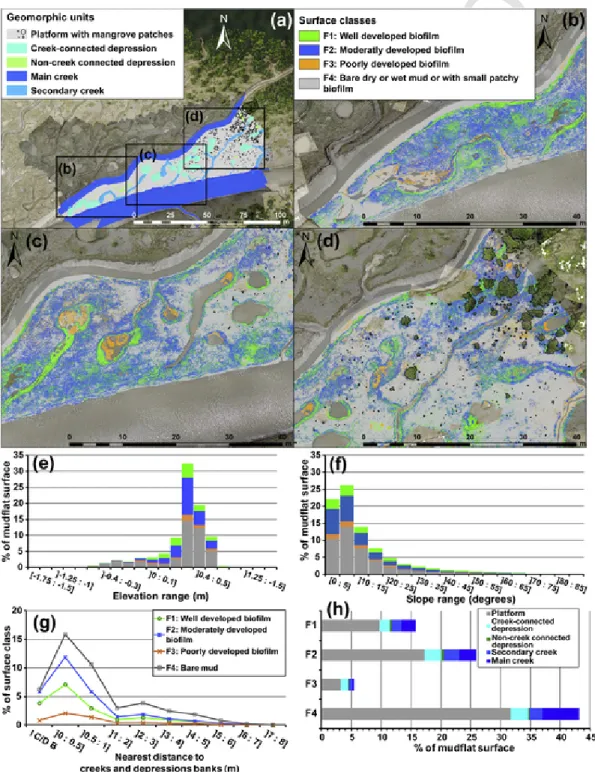 Fig. 8. Surface coverage by facies units: (a) overview of mudflat geomorphology; (b-d) parts of the area of interest with mapped surface facies classes