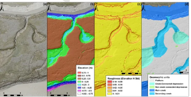 Fig. 3. Methodology for the contouring of geomorphic units from a very high-resolution DSM: (a) orthophotograph with hillshade of DSM background; (b) DSM showing sediment ele- ele-vation over a segment of the study area highlighting the presence of creeks,