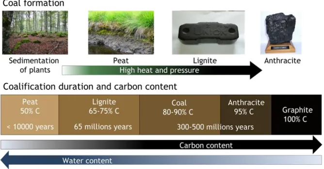 Figure 1 The steps and duration of the coalification process: from plants to graphite