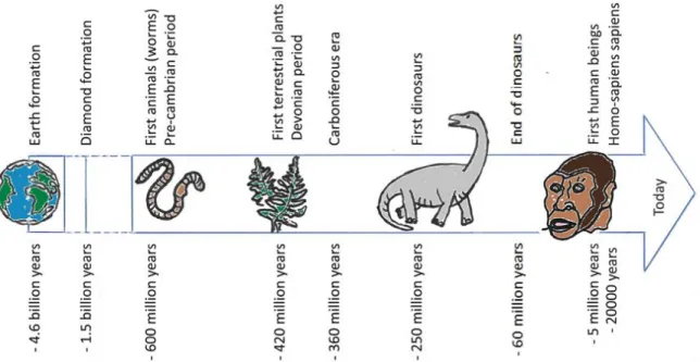 Figure 2 This geological time scale can be set up on a 5m ribbon to figure out duration by transposing time to  distances