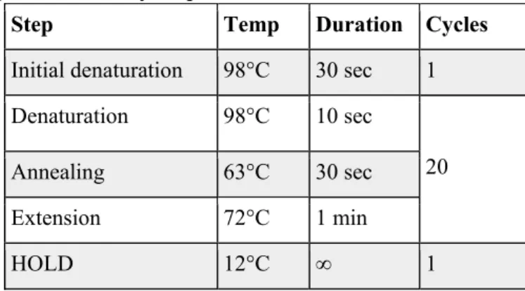 Table 5. PCR program for library amplification.
