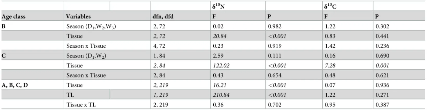 Table 4. Variation in black caiman isotopic values. Factorial analysis of variance exploring 1) the effect of season (D 1 , W 2 , W 3 ) and tissue type (muscle, plasma, and RBCs) on stable carbon and nitrogen isotope values for black caimans in intermediat