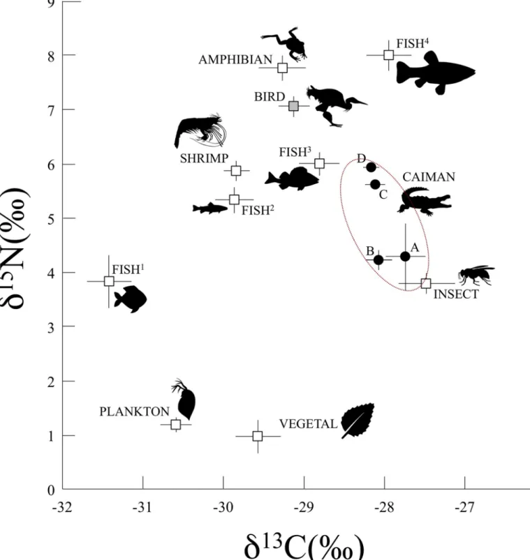 Fig 5. Mean (± SE) δ 15 N and δ 13 C values for the black caimans and the different ecosystem compartments of Agami Pond