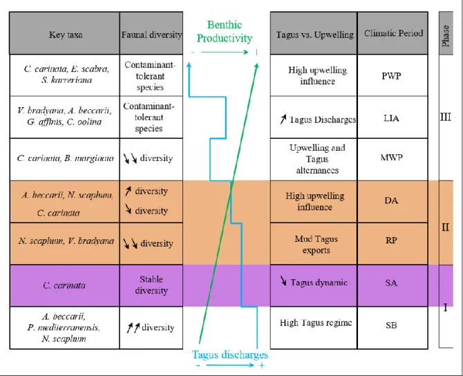 Fig. 8. Summary of the paleoenvironmental evolution of the Tagus River during the last 5750  946 