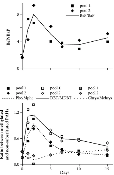 Figure 5: Temporal changes in biotransformation ratios in the pyloric cacea of starfish (n = 2 pools of  10  starfish)  fed  with  contaminated  mussels