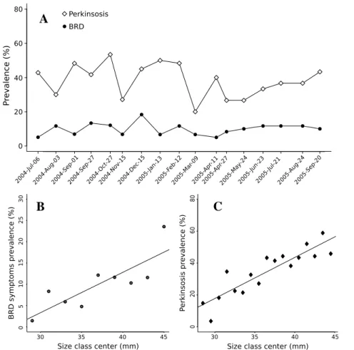 Fig. 4. A: Evolution of prevalence of perkinsosis and BRD during the sampling pe- pe-riod; B: Relationship between center of the size classes and BRD symptom prevalence (y = 0 