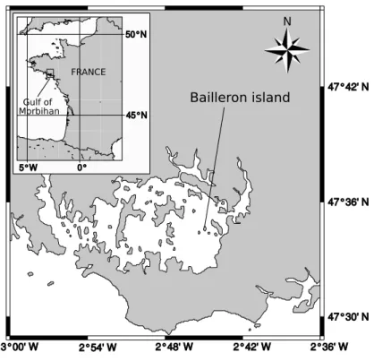 Fig. 1. Location of Bailleron island in Gulf of Morbihan, Southern Brittany, France.