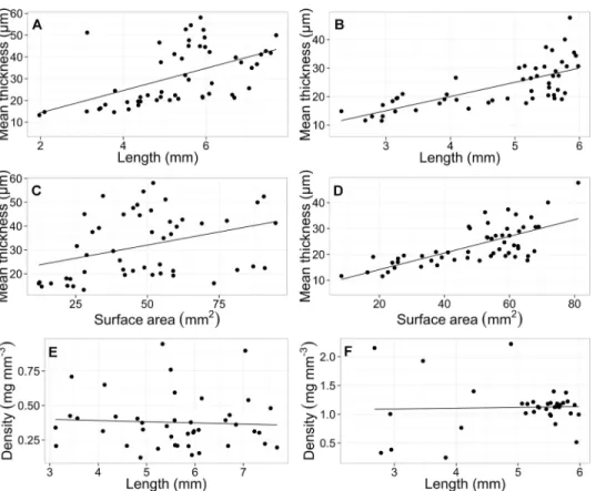 Fig 5. Biometric correlations of modern samples of S. subula and C. inflexa show positive correlations between average shell thickness (μm 3 ) and (A) shell length (mm) and (B) shell surface area (mm 2 )