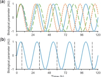 Figure 1. (a) Shift of a biological parameter under circadian control for 3 organisms whose internal period are 22h (short dotted line), 24h (continuous line), and 26h (long dotted line), respectively, over a 5-day experiment under free-running conditions