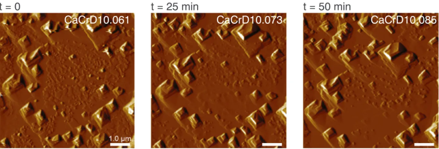 Fig. 6. Testing the solubility of the newly formed material. The images demonstrate minimal changes in surface topography on sample CaCrD10 despite being exposed to repeated injections of deionized water over 50 min.