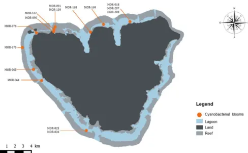 Figure 1. Map of Moorea Island showing the sampling sites of the 15 benthic cyanobacterial bloom  samples analyzed in the present study