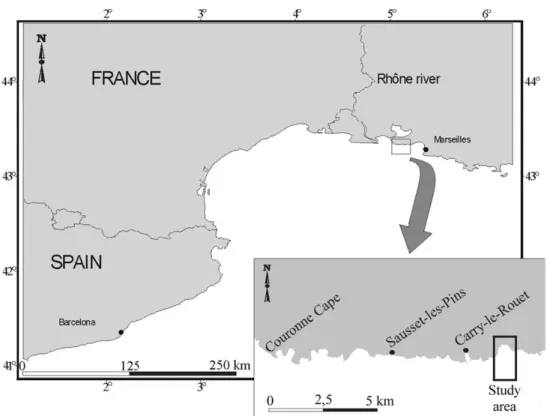 Fig. 1. Geographical location of the study area.