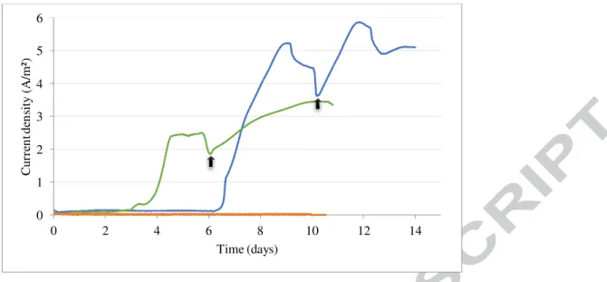 Figure  2: Current monitoring  (A/m²)  of  BES1  Enrichment inoculated  with  crushed  hydrothermal  chimney (blue  line),  BES2 Enrichment inoculated with flask subculture (green line) and abiotic control (orange line)
