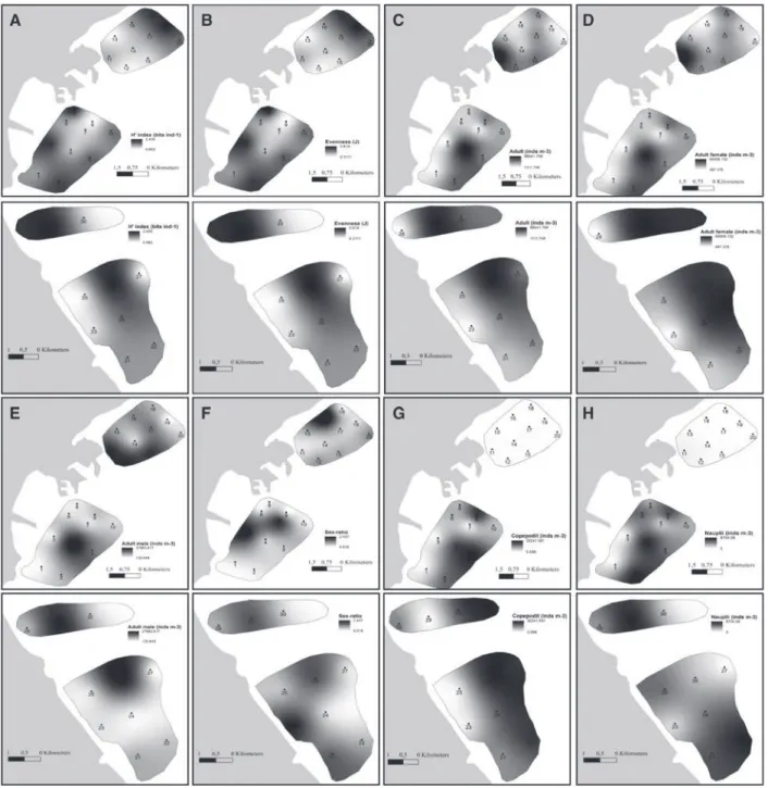 Fig. 5. Spatial variation of zooplankton parameters, i.e. Shannon index (E) (A), Evenness (J) (B), abundance of adult (C), adult female (D), adult male (E), sex-ratio (F), copepodit (G) and nauplii (H) in stations sampled in the northern and southern coast
