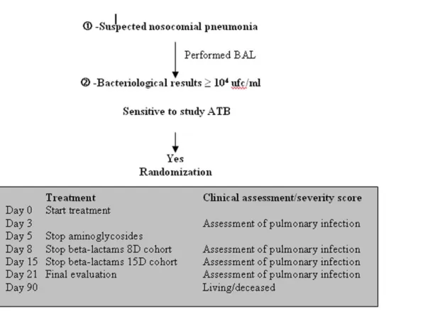 Figure 1. Design of the study governing inclusion of a new patient according to BAL bacteriological results and follow up criteria.