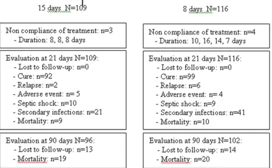 Figure 2. Data regarding number of patients included, treated according to protocol and followed up at 21 and 90 days.