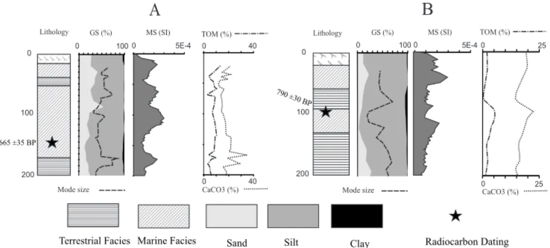 Fig. 4. Lithology of two cores taken near Hassanqoli Bay in the southeast of the Caspian Sea