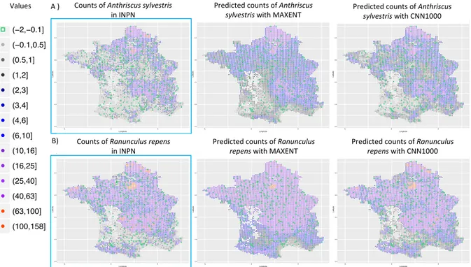 Figure 5: A) Species occurrences in INPN dataset, and geographic distribution predicted with Maxent and CNN1000 for Anthriscus sylvestris (L.) Hoffm., B) Species occurrences in INPN dataset, and geographic distribution predicted with Maxent and CNN1000 for