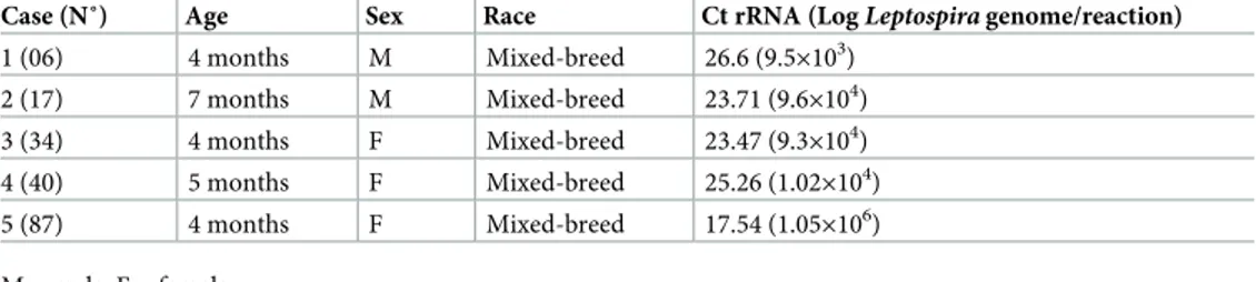 Table 4. Information relative to animals detected positive for L. interrogans DNA in urine samples: Age, sex, race, number of genomes per positive pPCR reaction