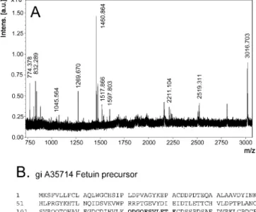 Figure 2. Silver-Stained SDS-PAGE and Western Blot Analysis of Nanon Proteins
