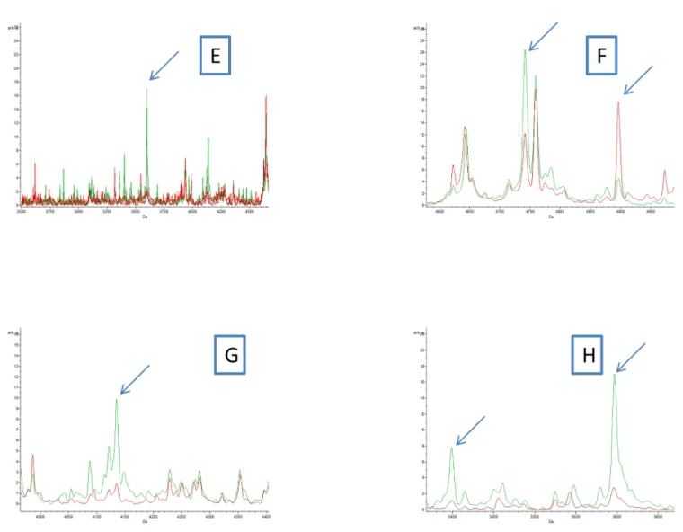 Fig 4. (E, F, G and H) Comparison of MALDI-TOF MS profiles of body half of Ctenocephalides felis infected or not by Bartonella henselae using ClinProTools 2.2 software