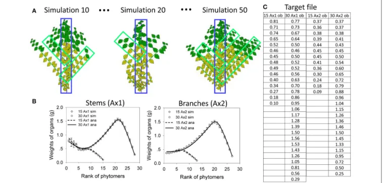 FIGURE 6 | In silico parameter estimation for plants with continuous development. Top left (A): simulated plant samples for selecting organic series for stems (blue) and branches (green)