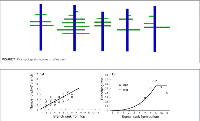 FIGURE 7 | Five topological structures of coffee trees.