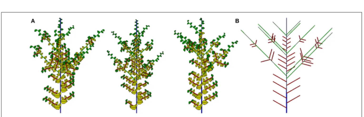 FIGURE 12 | Three stochastic simulations (A) and associated potential structure (B) for the Rauh architectural model with preformation and neoformation.