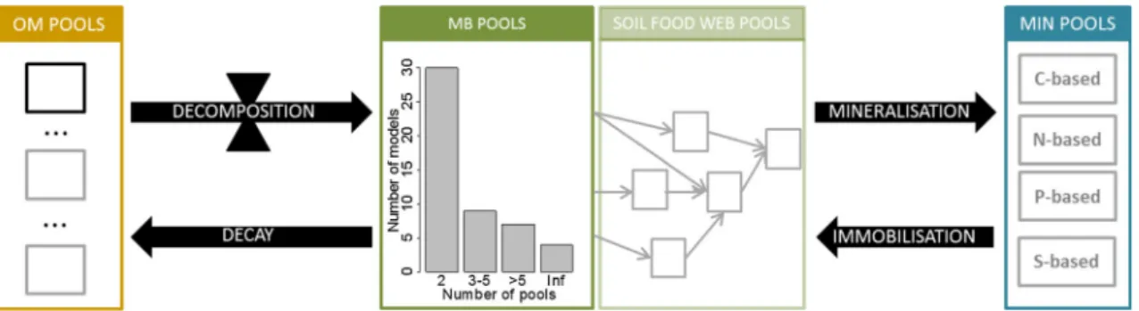 Fig. 2 Diagram of microbial diversity in current carbon and nitrogen dynamics models. OM organic matter, MB microbial biomass, MIN mineral compounds