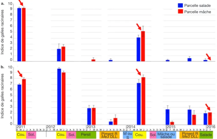 Figure 6. Sur le site de Marguerittes, effet du système S3 (augmentation de la diversité cultivée avec plante de coupure  et solarisation en été une année sur deux) sur l’indice de galles racinaires des différentes cultures en fonction des rangs de  planta