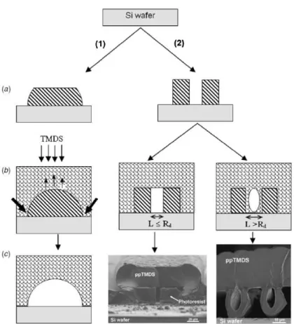 Figure 1. Principle of the PPSL process using two methods. Method 1 requires three main steps:  (a) Micropatterning of the sacrificial material