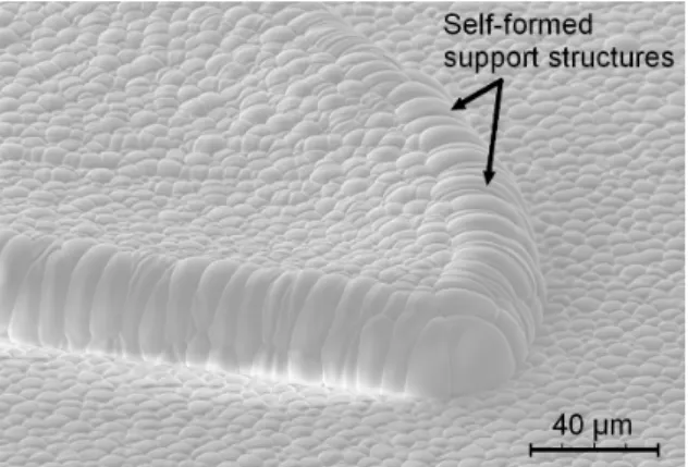 Figure 6. External aspect of a microchannel obtained by PPSL. The  ppTMDS film surface is organized in spherical hill-type 