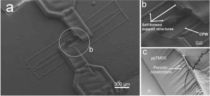 Figure 7. SEM micrographs of the (a) fluidic MEMS, (b) Enlarged view of the partially abrased region, showing the electromagnetic sensor  (CPW) and the self-formed support structures,  (c) Interior surface of the ppTMDS channel side wall
