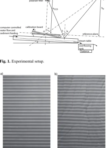 Fig. 2. Fringe pattern on (a) flat surface, (b) relief.