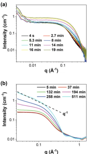 Fig. 7 In situ SAXS patterns recorded during the synthesis of Au nano particles in OY/hexane solution: (a) [OY] = 100 mM, during the ﬁ rst 20 minutes and (b) [OY] = 400 mM.