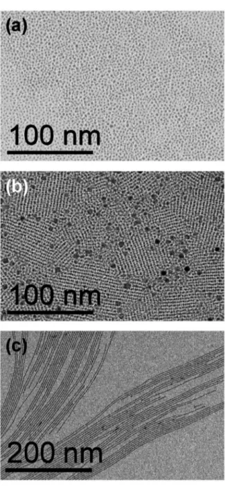 Fig. 1 Transmission electron microscopy images of nanoparticles and nanowires prepared with di ﬀ erent concentrations of oleylamine: (a) [OY]