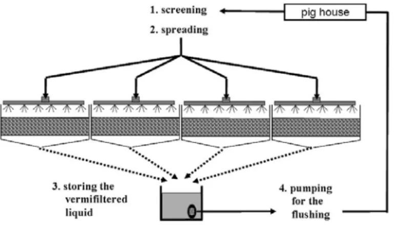 Fig. 1. Experimental vermifilter and principle of the effluent liquid circulation at pilot scale 