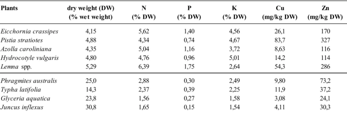Table 1. Concentrations of N, P, K, Cu, Zn in plants of the macrophyte pilot. Concentrations are given as means obtained from 3 harvests for the  floating plants (Nov