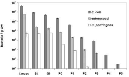 Fig. 3. Concentrations of E. coli, enterococci and C. perfringens along the treatment plant