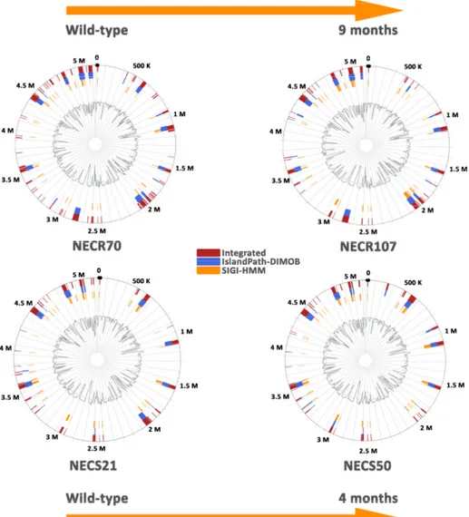 Figure 2. Prediction of pathogenicity islands within Escherichia coli genomes isolated from diabetic  foot infections