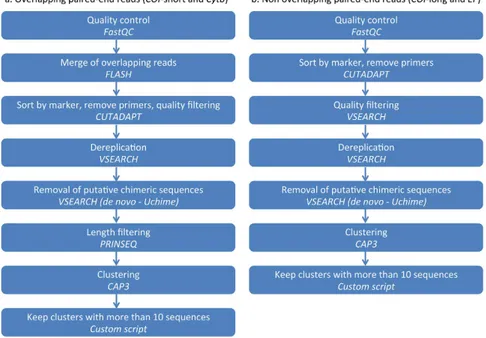 Figure 2.  Analytical workflow. Step 1, from read filtering to clustering.