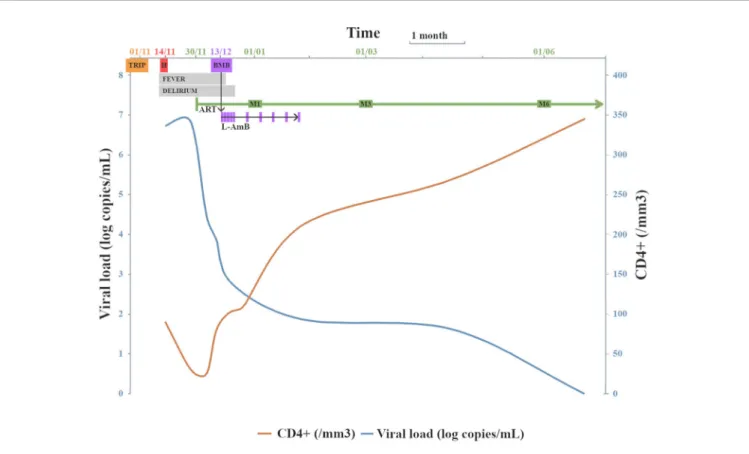 FIGURE 2 | Viral load and CD4 + T-cells count evolution following cART initiation and VL diagnosis