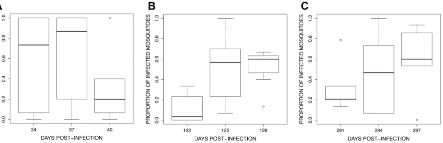 Figure 8. Boxplot of the number of oocysts per midgut among 15 haphazardly chosen blood fed individuals on each bird (only includes mosquitoes harbouring $1 oocysts) for the 3 exposure sessions (see Fig